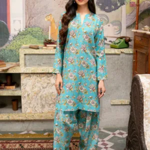 Printed - 2 Pc Khaddar Suit (Stitched)